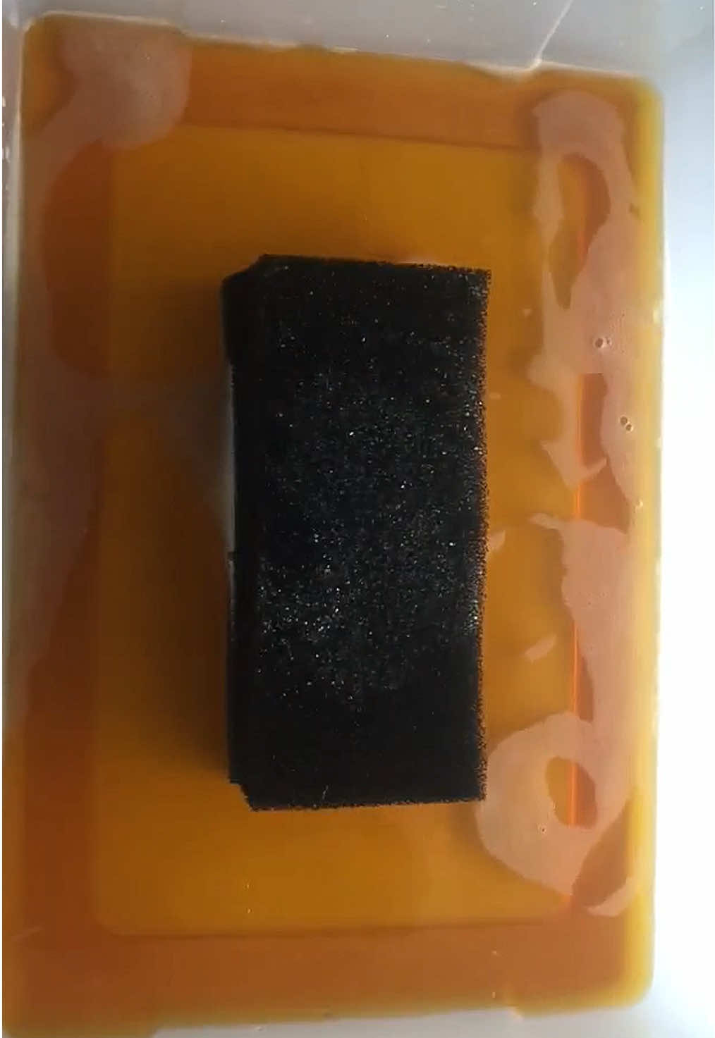 @HD Spongetok