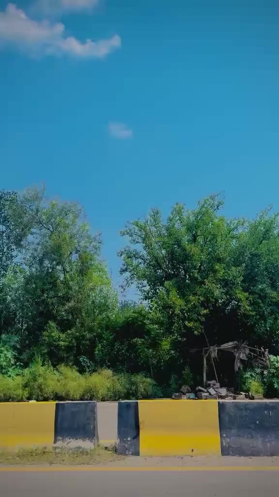 @wajidwali