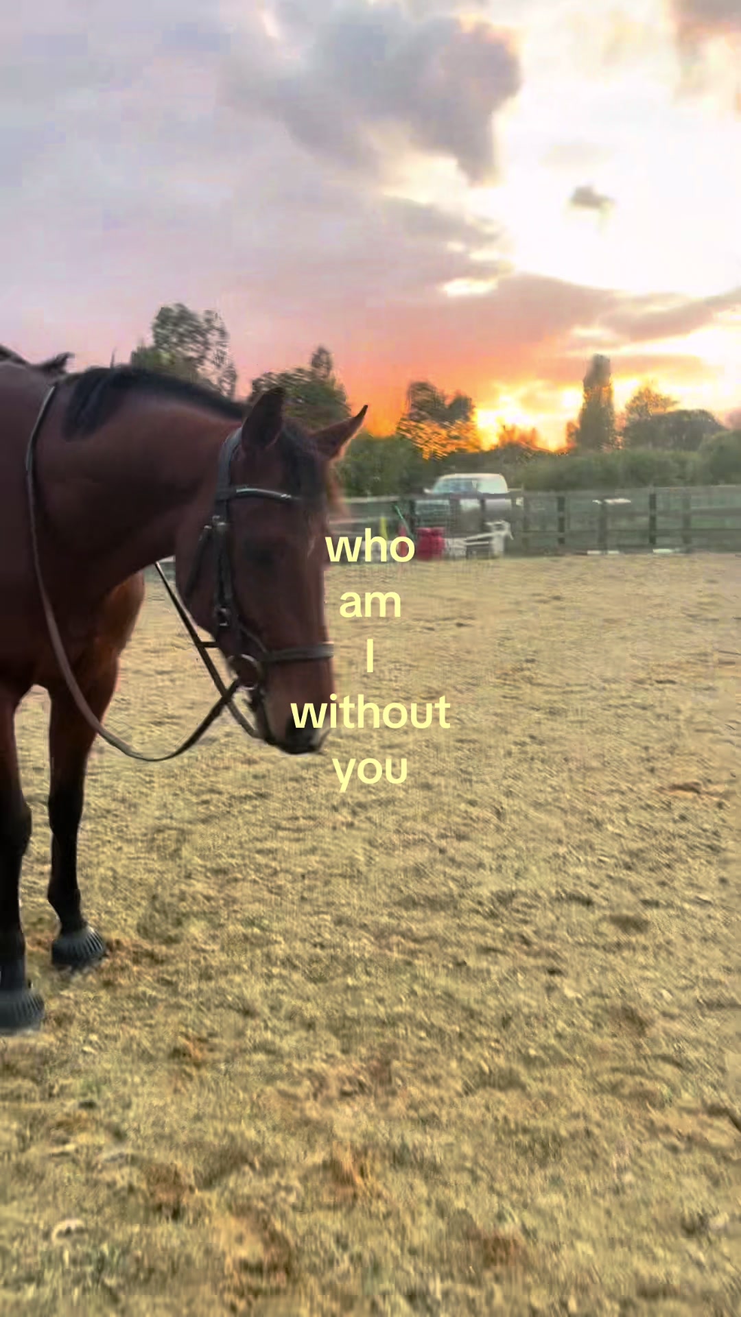 @🥂🐎🦢
