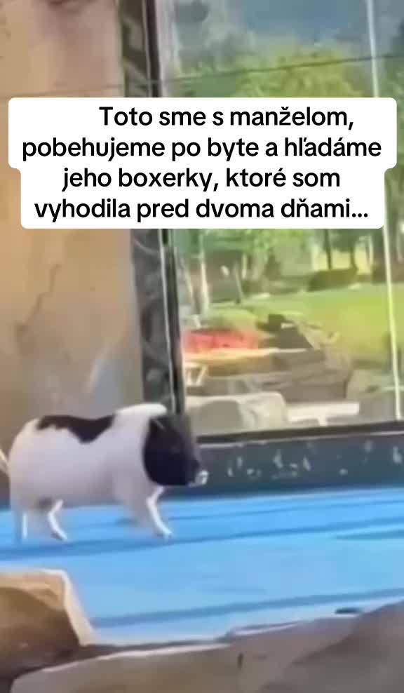 @Ievgenko
