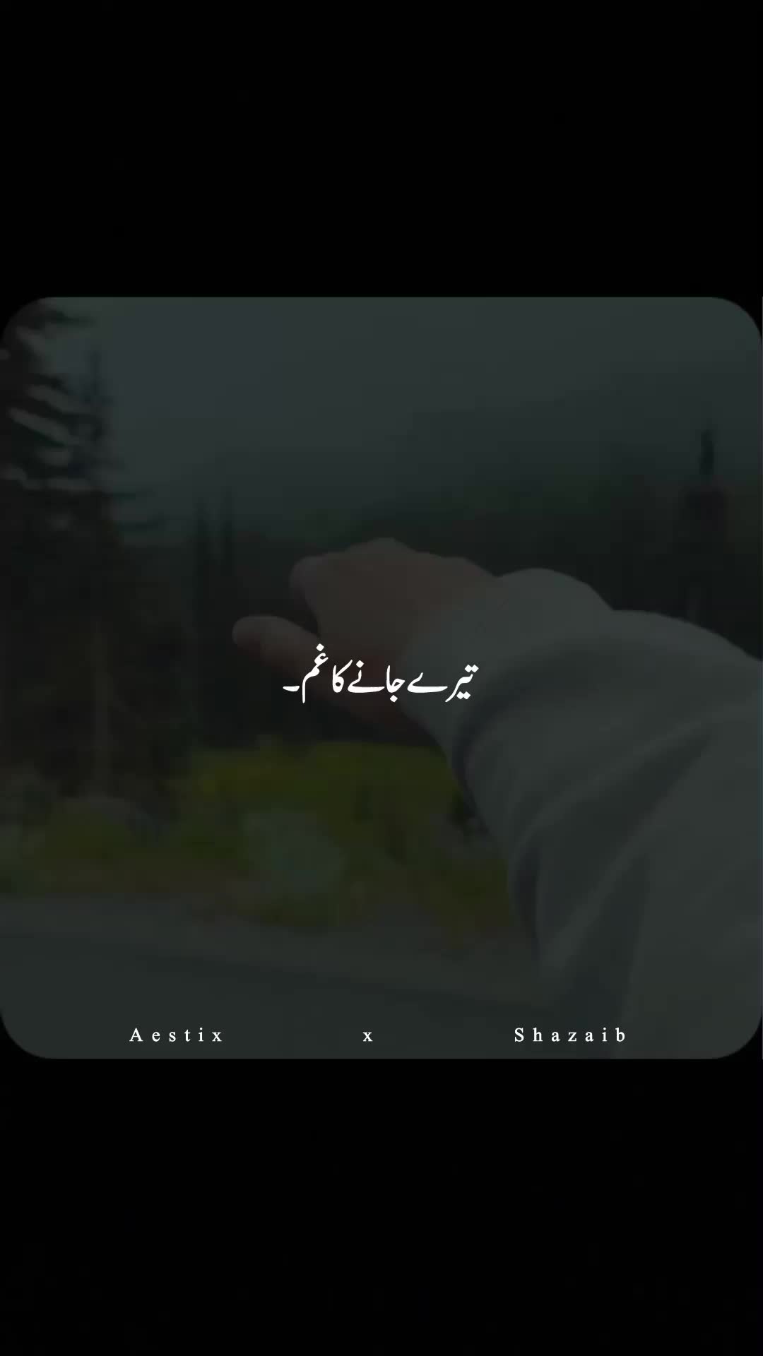 @Aestix x Shazaib