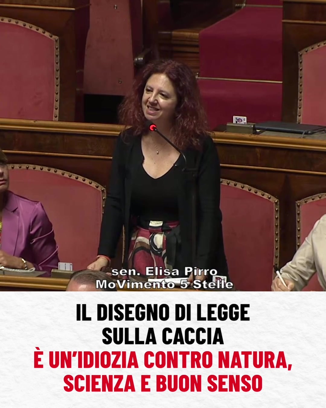 @Elisa Pirro