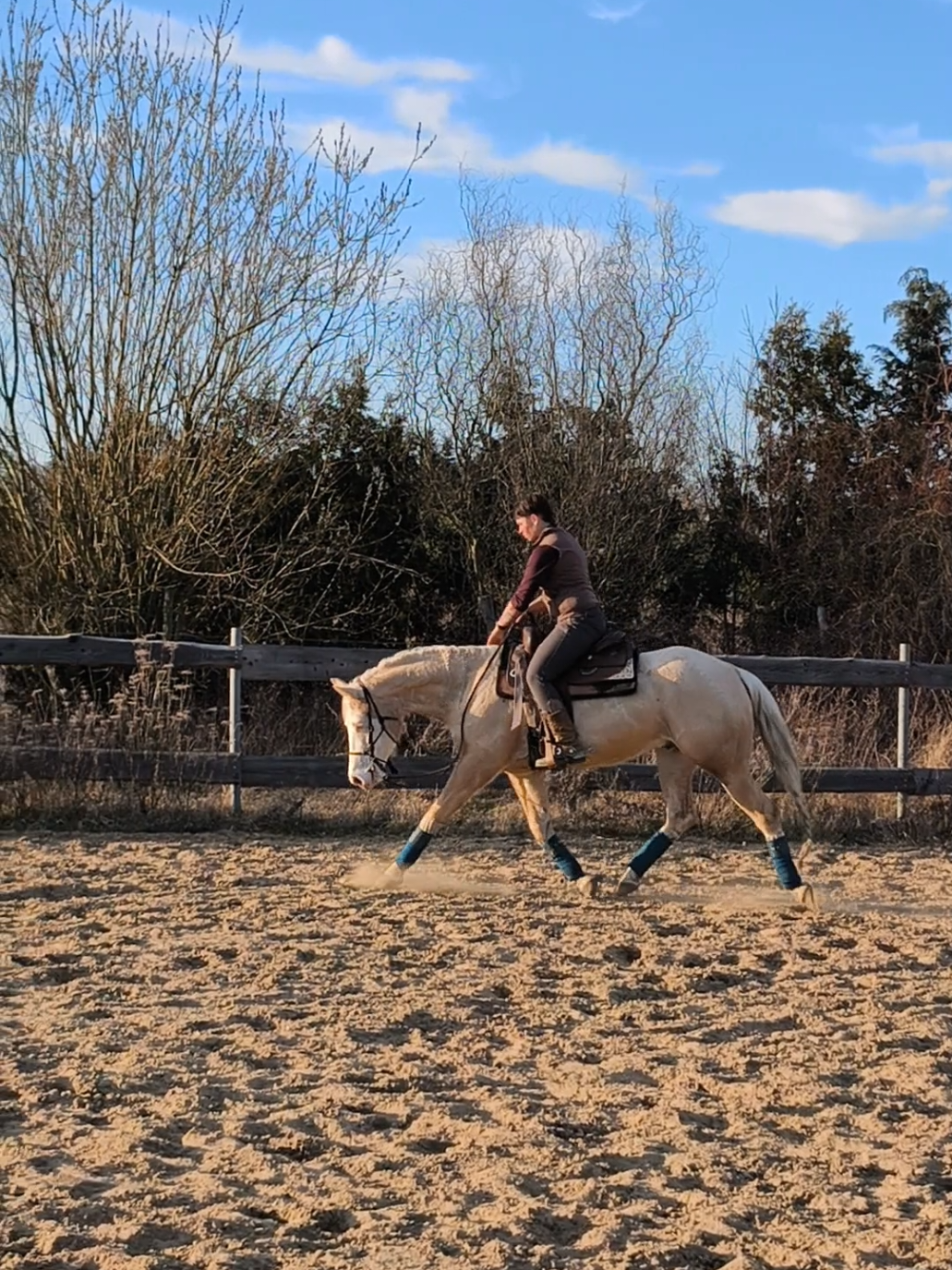 @Sandra Breitenstein