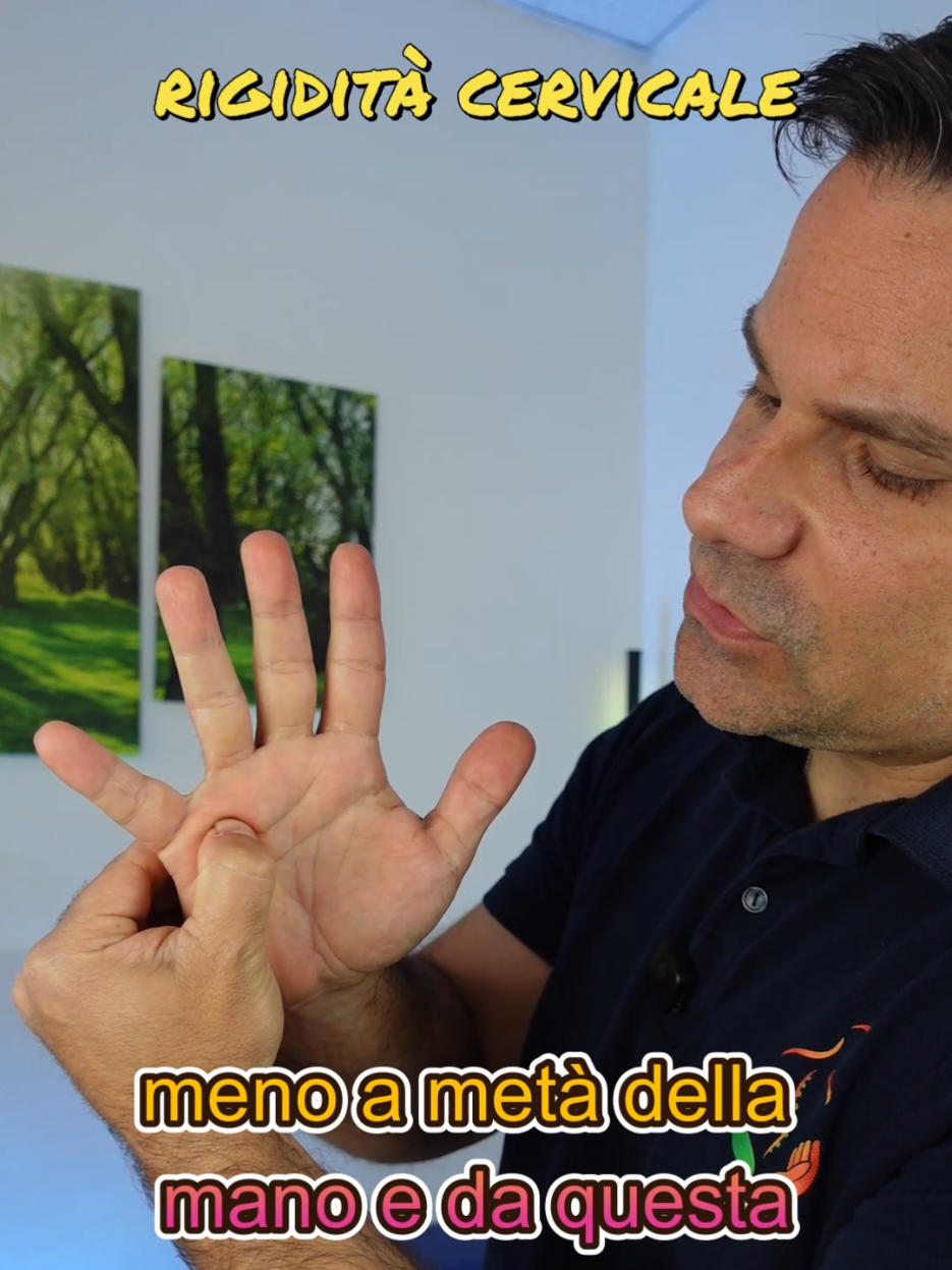 @Dr. Bruno Maria Camerani