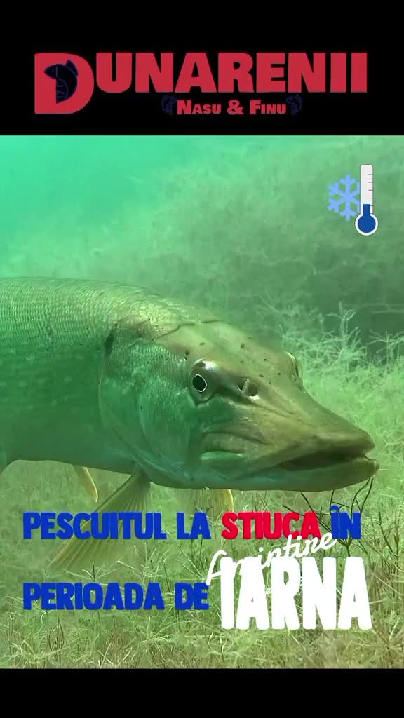 @Pescarul Dunărean