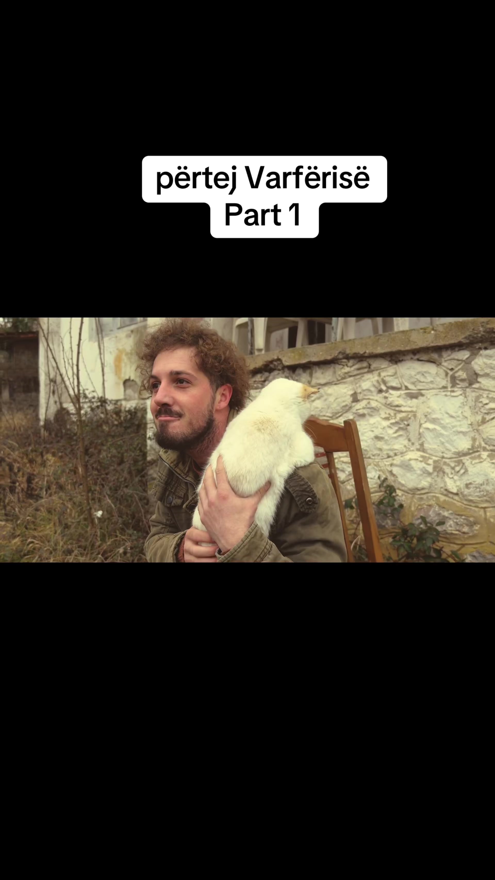 @humor.video
