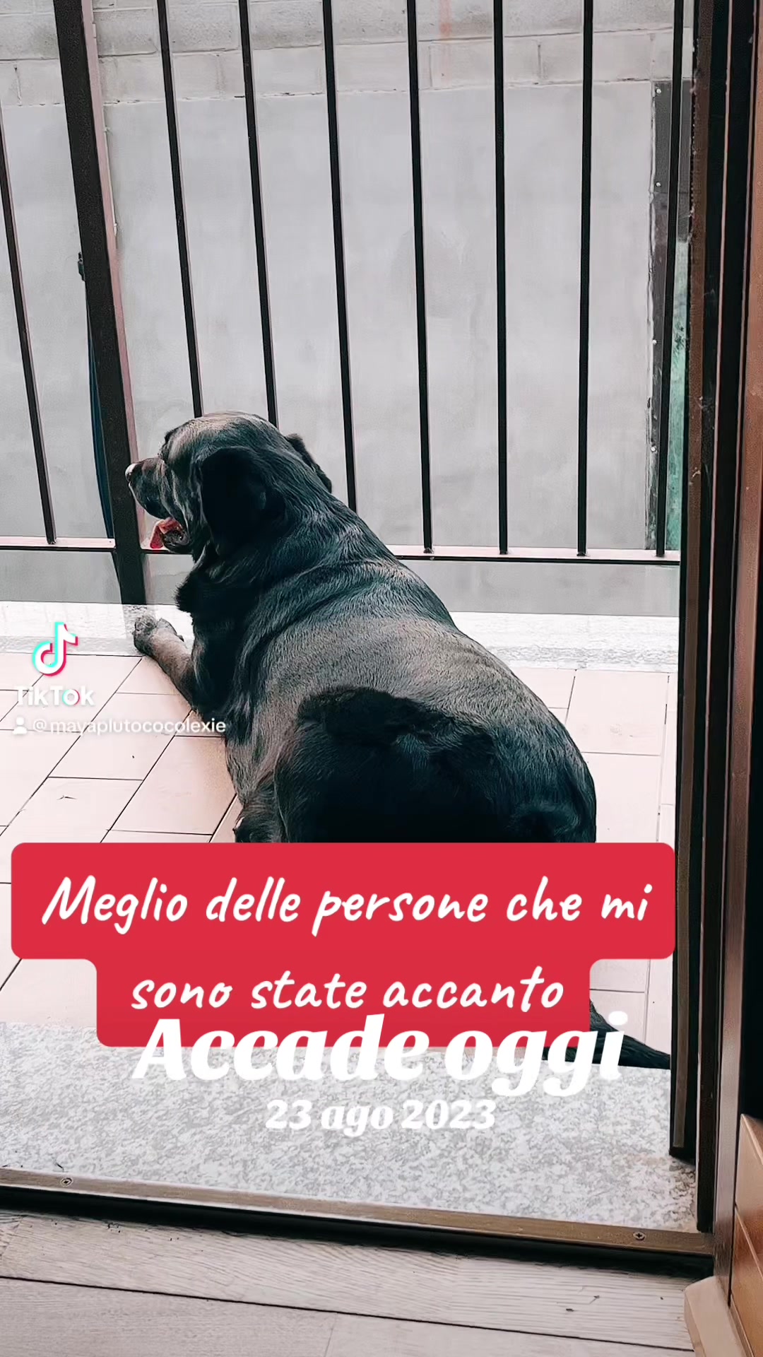 @Gra_Lagra_👑