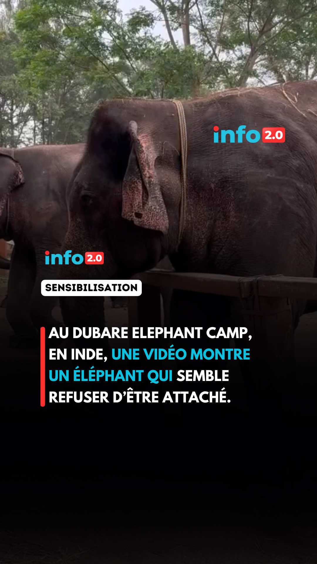 @Info2.0_fr