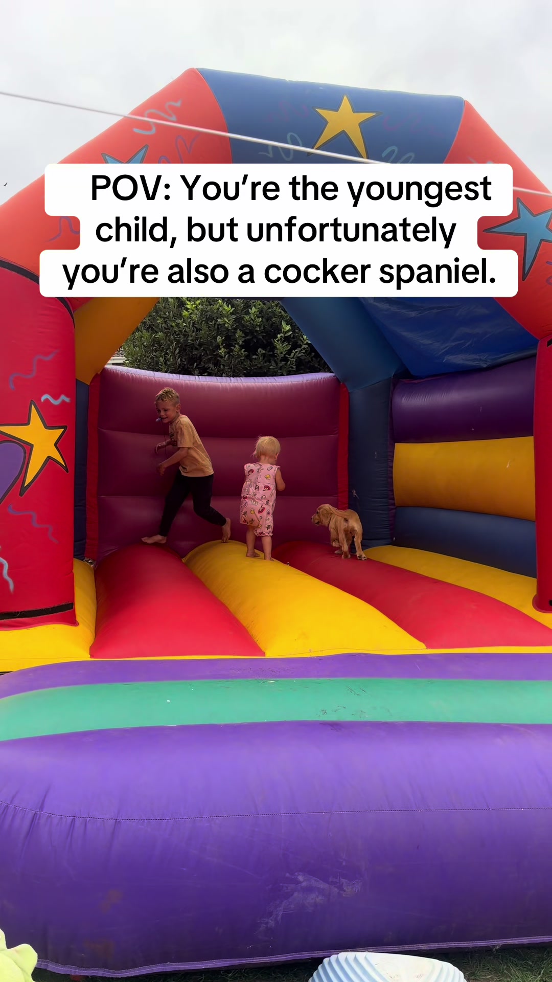 @Themummydiaryuk
