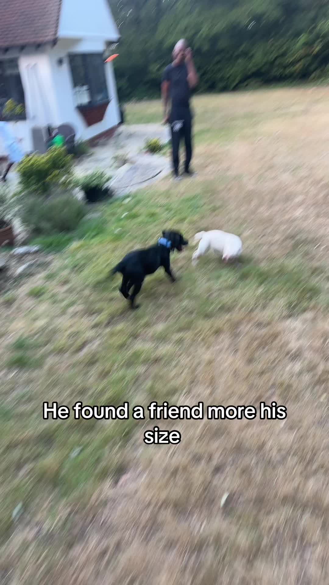 @Jcgoingthroughit