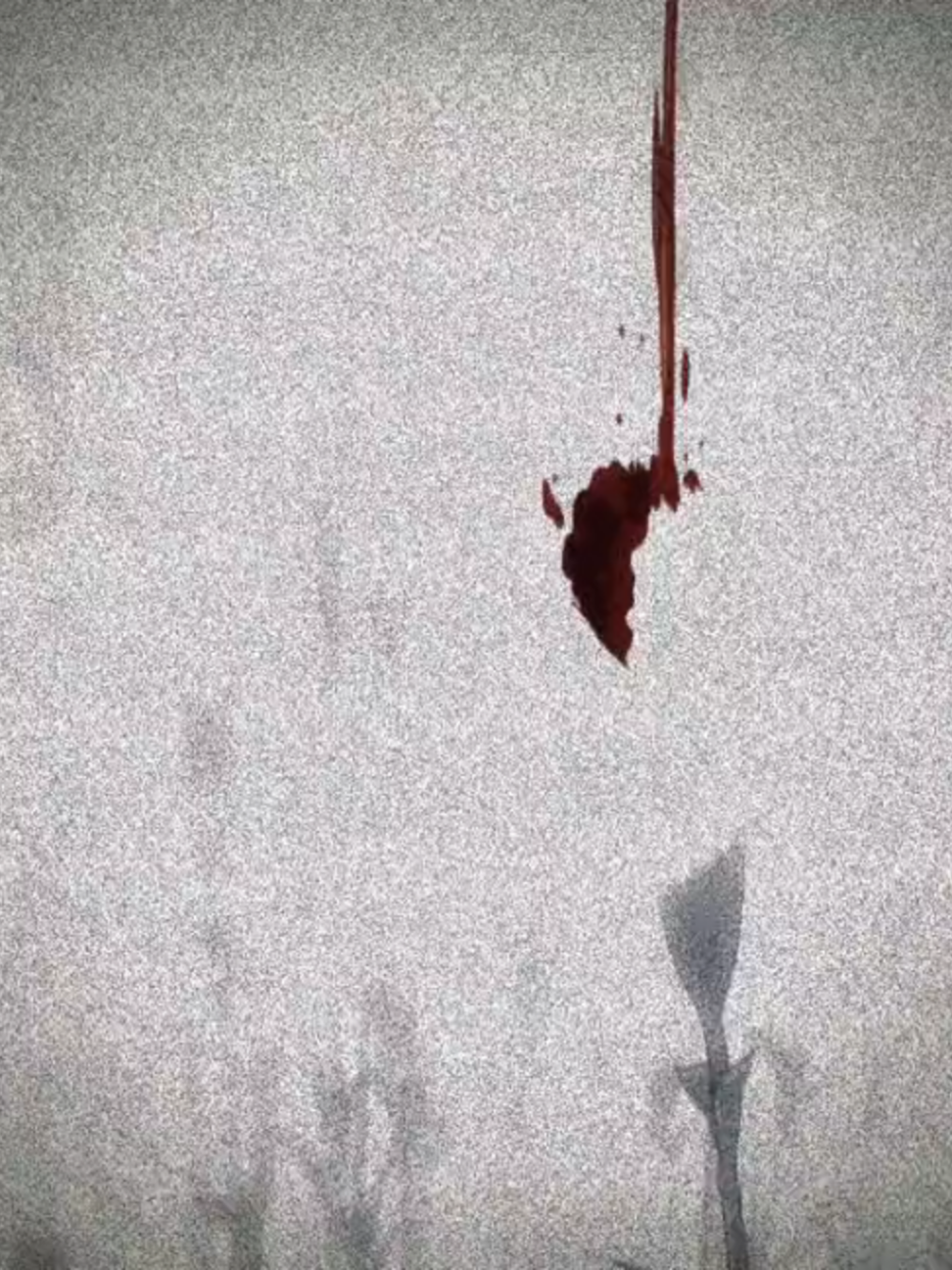 @𝑹𝑬𝒁𝑨