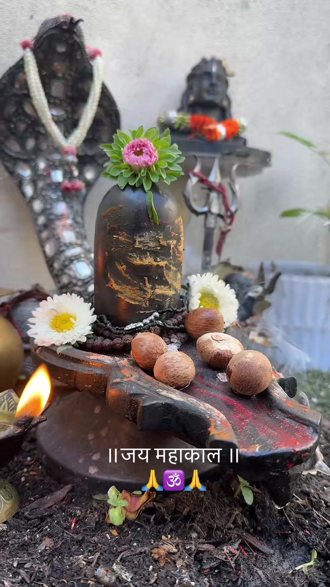 @ਵਲੈਤੀ ਪੰਜਾਬਣ sukh/ਸੁਖ