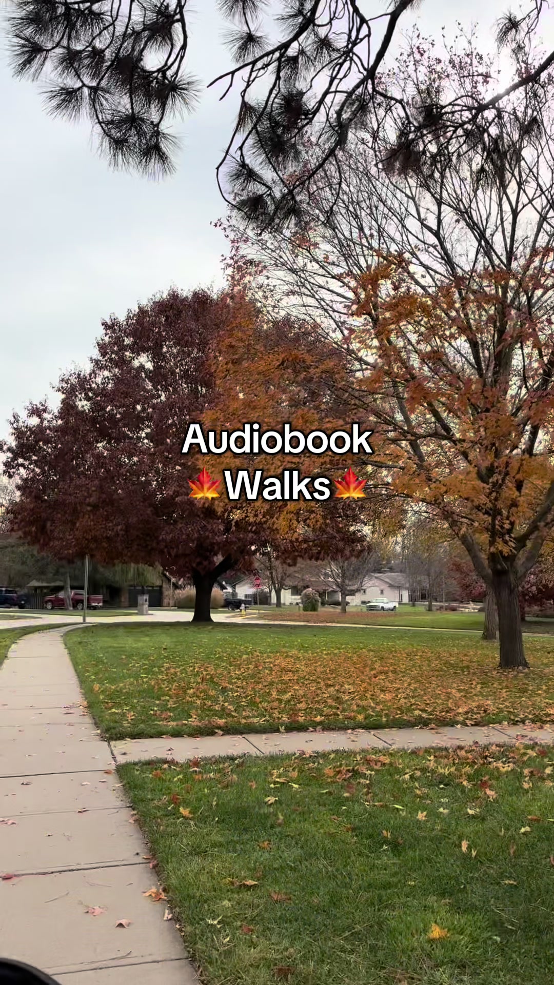 @Alex_andreads📚