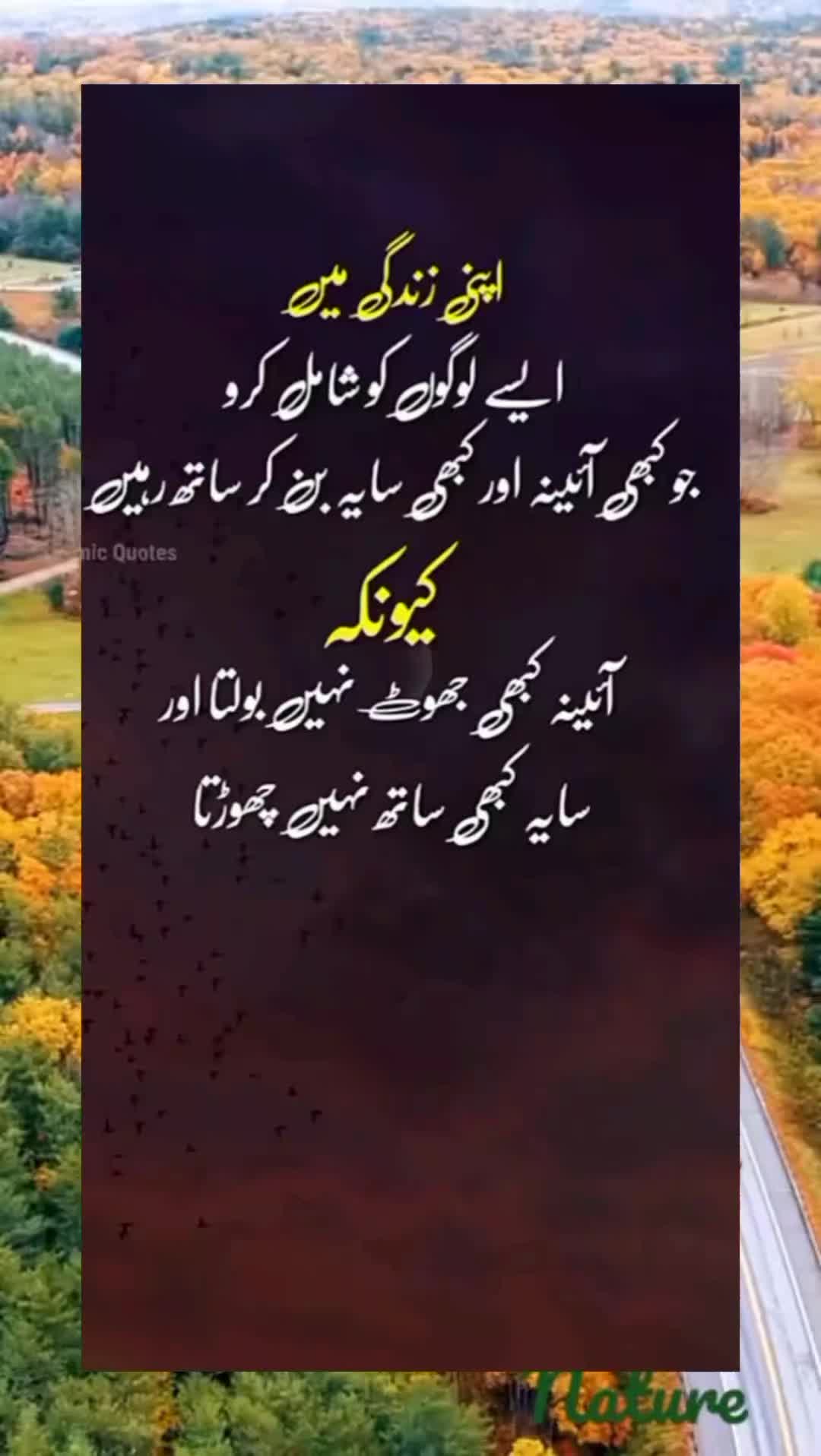 @sharaiz