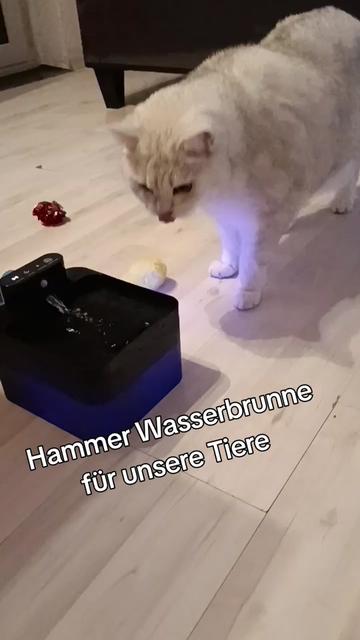 @Tatjana