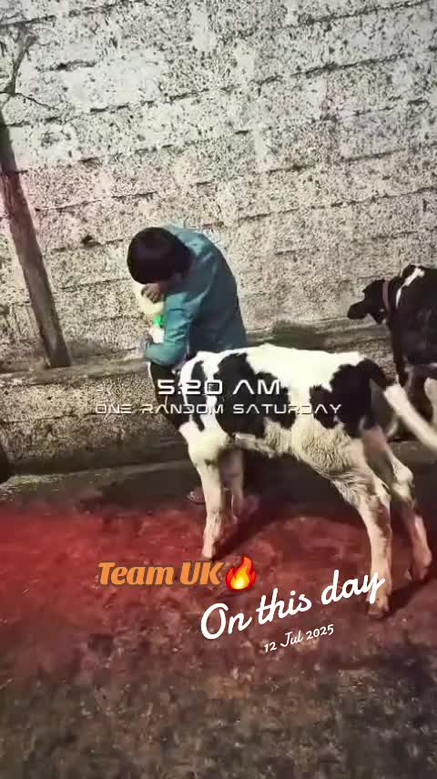 @Team UK