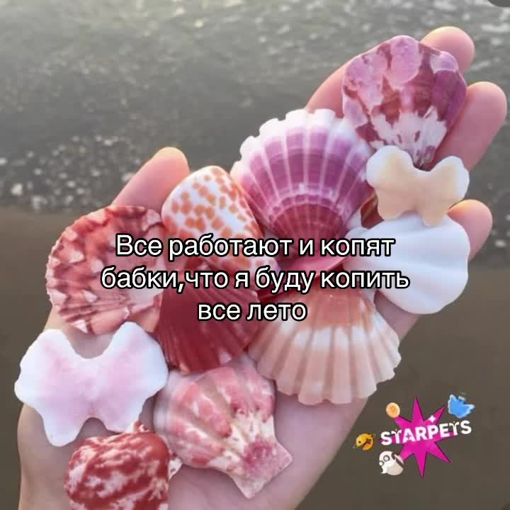 @Маркетплейс для роблоксеров