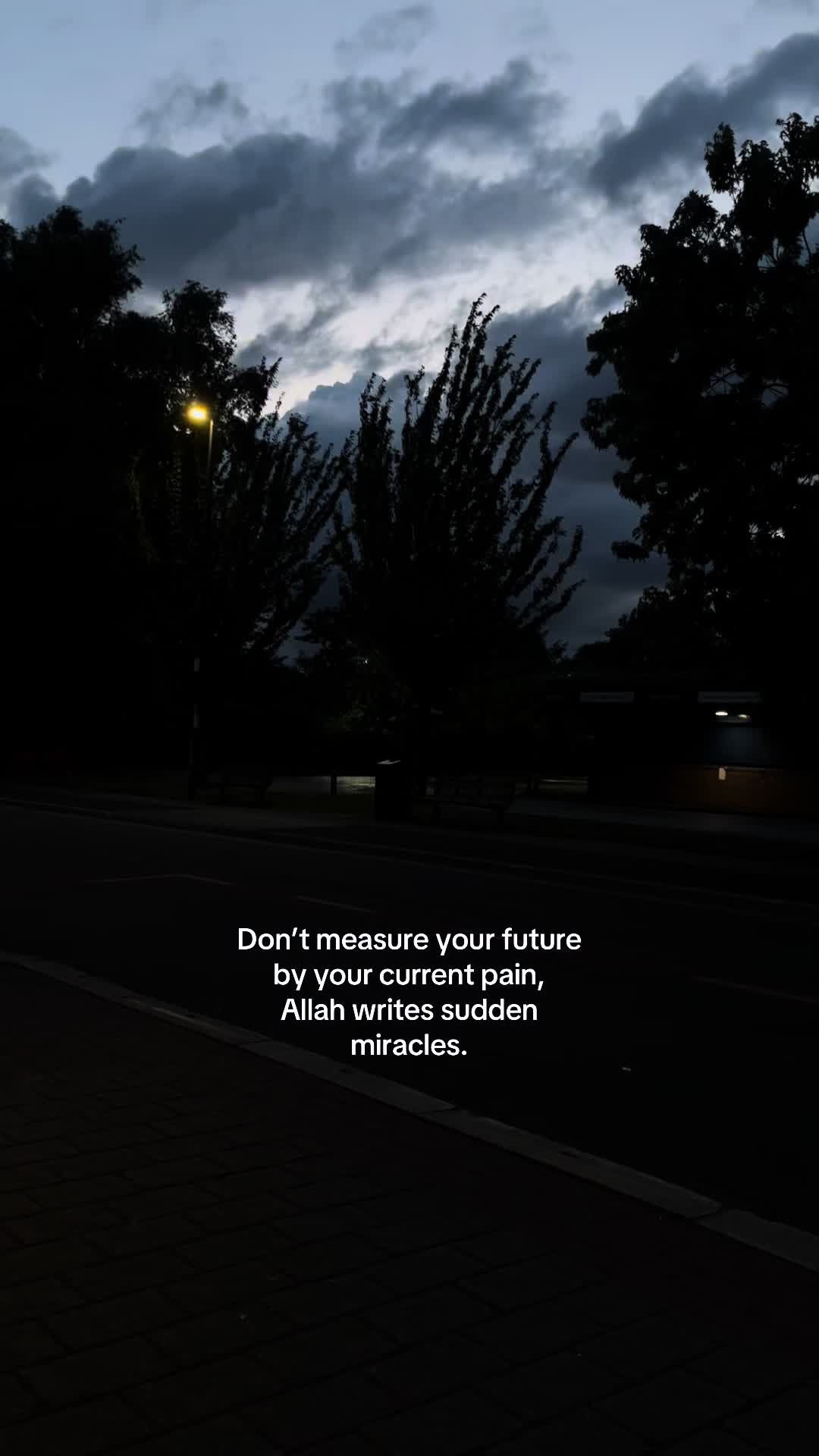 @No Doubt🕊️