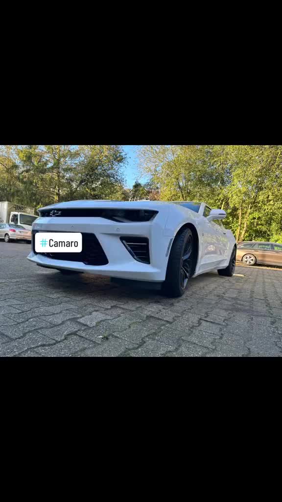 @Enzo V8