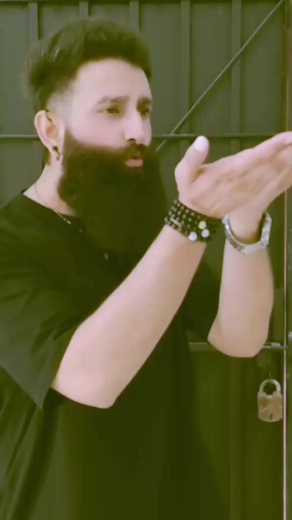 @syedalihussainina