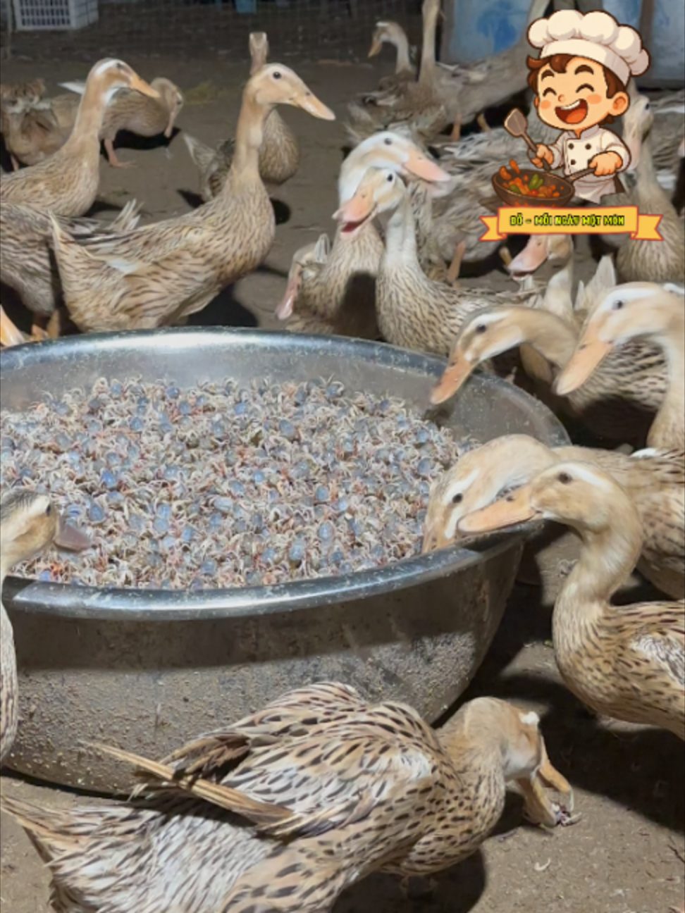 @Đỗ - Mỗi Ngày Một Món