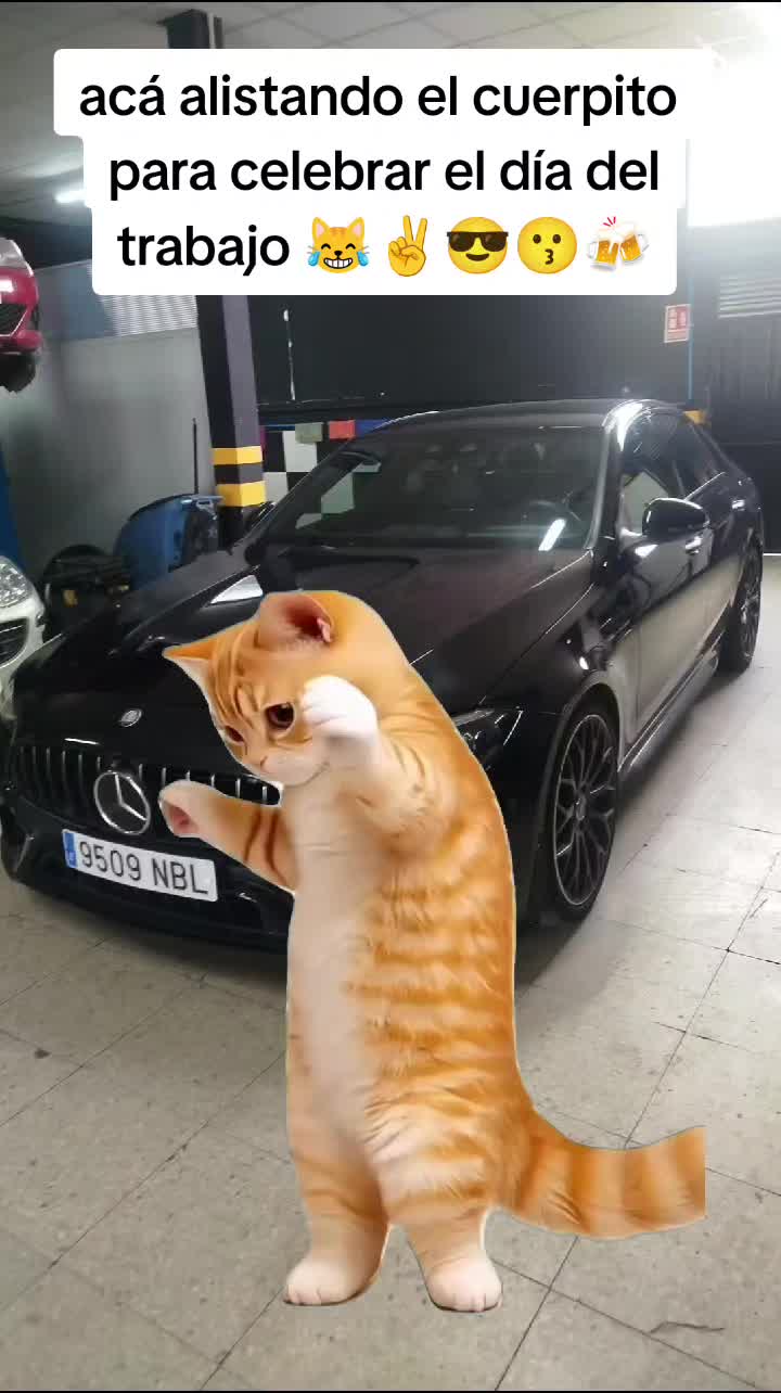 @George MG 🤑☝️😻😎😜🤟👍💪🏼