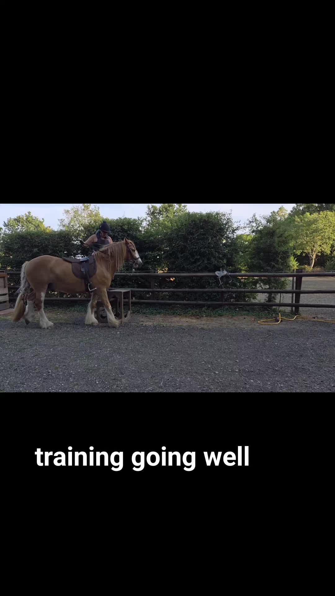 @KcPonyPals