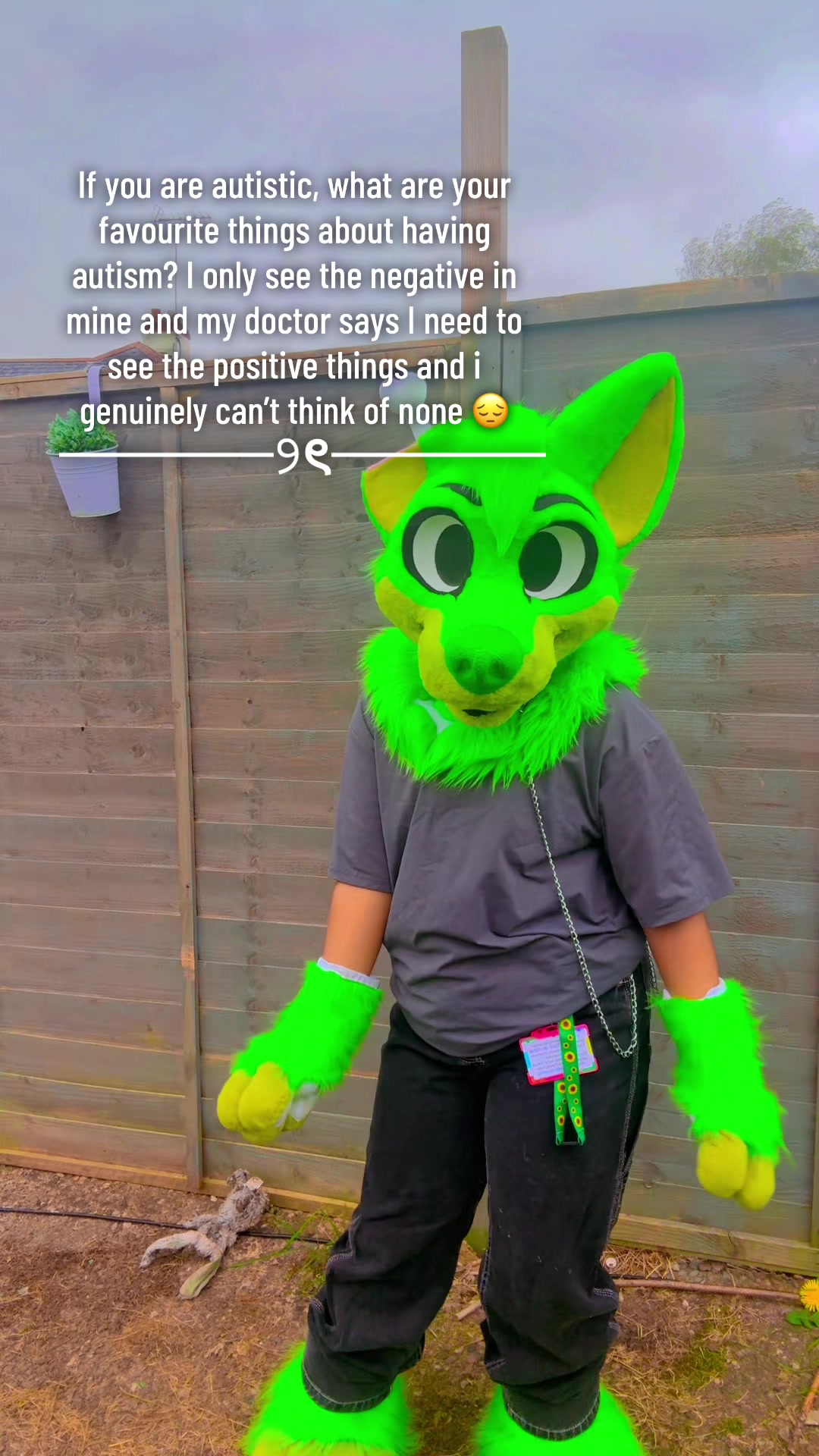 @★彡 ~ paws! ~ ★彡