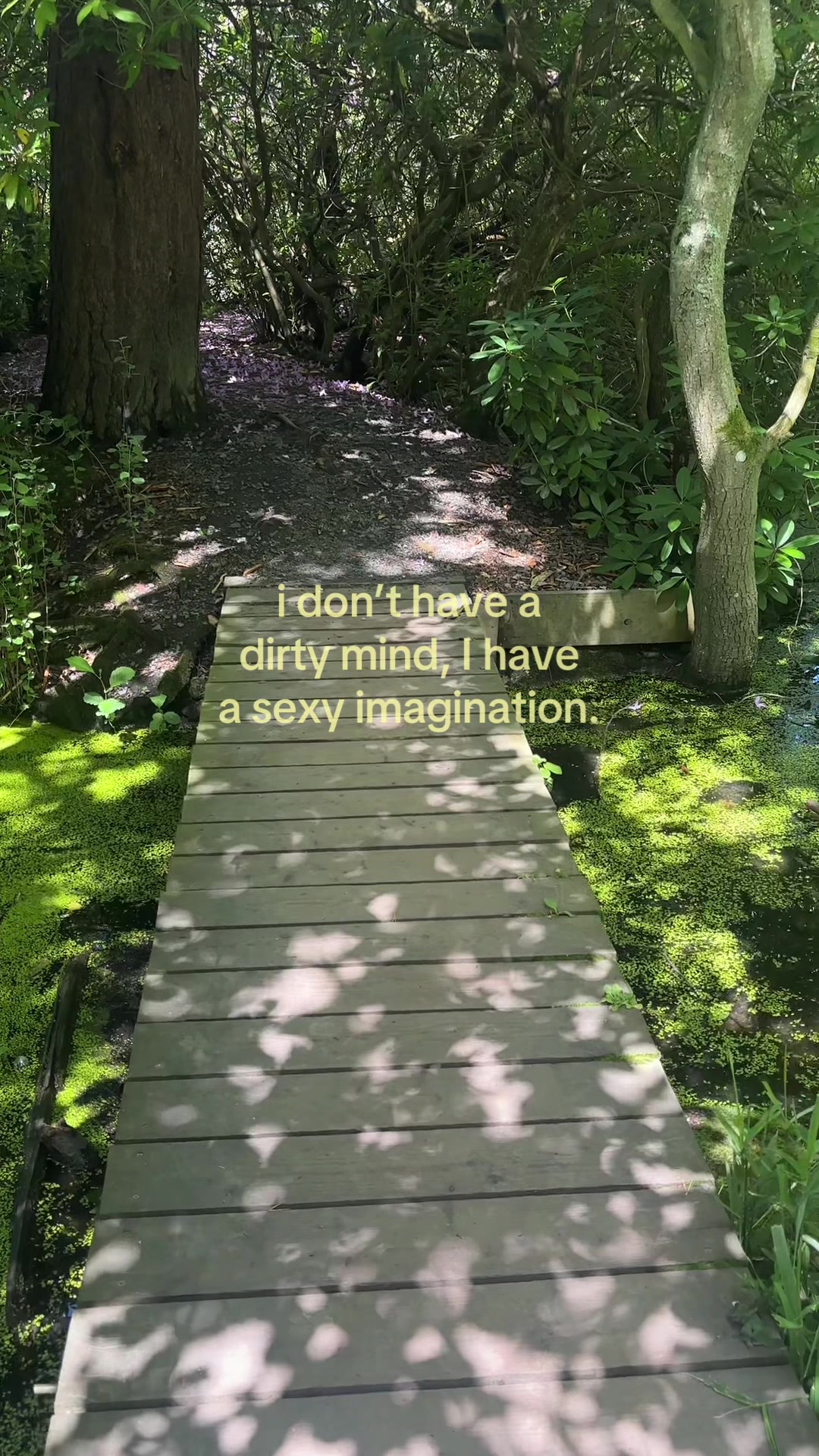 @spicystreetlights