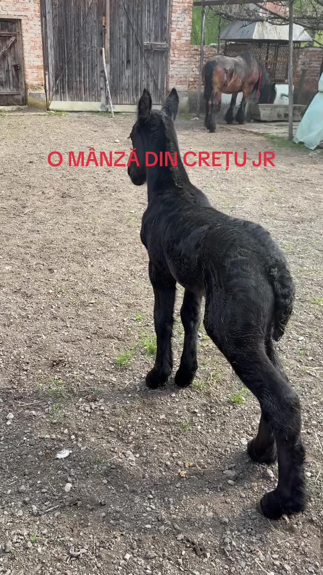 @Cristi Cristian