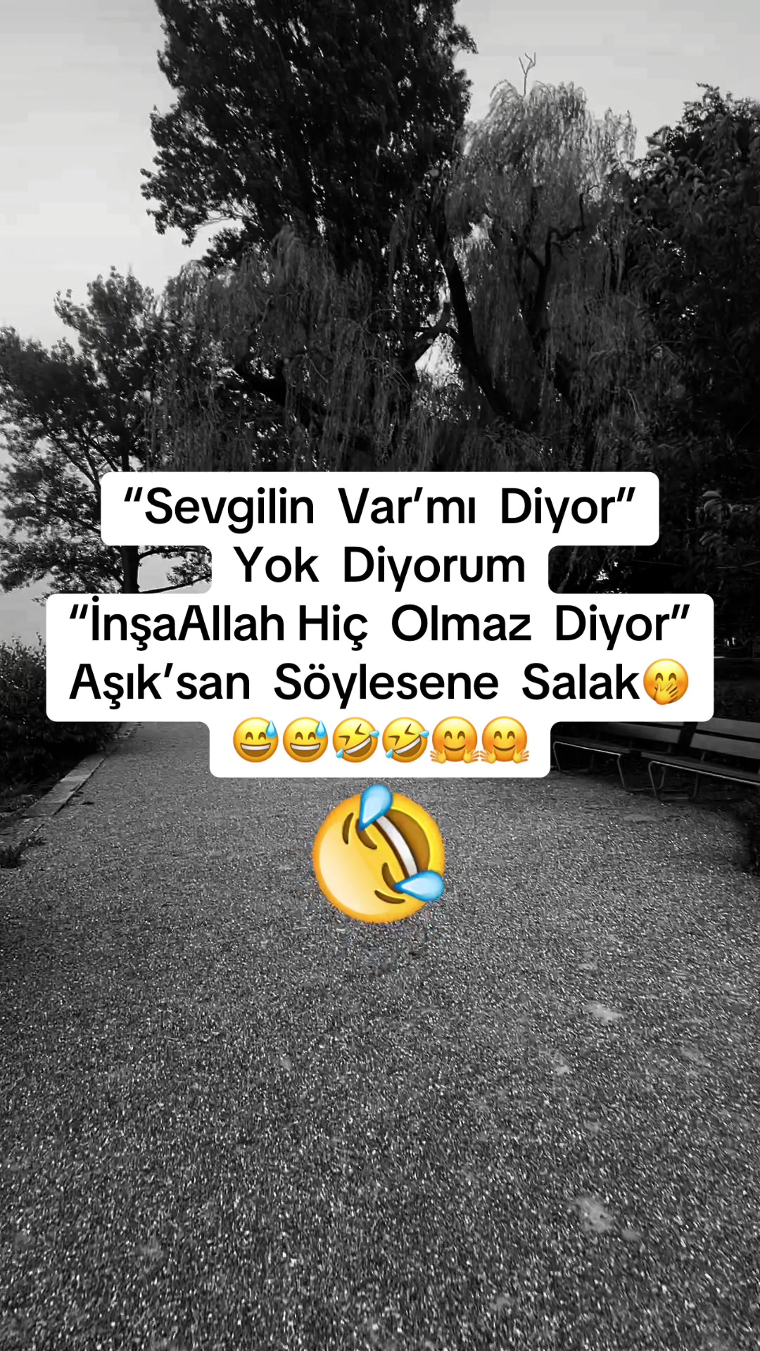 @✨🤍Ayliz_S🤍✨
