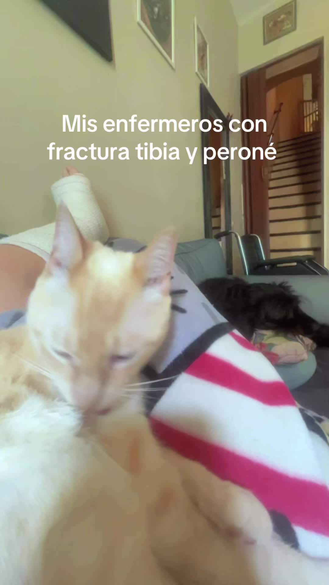 @Mamitatuada_