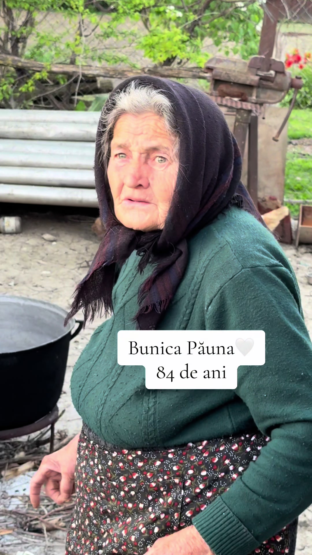 @Alina Florentina Vișan