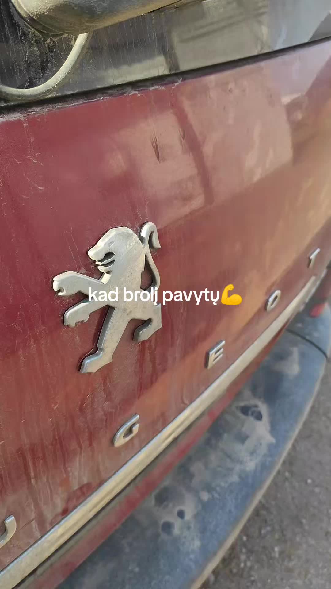 @bruklenbaunc008