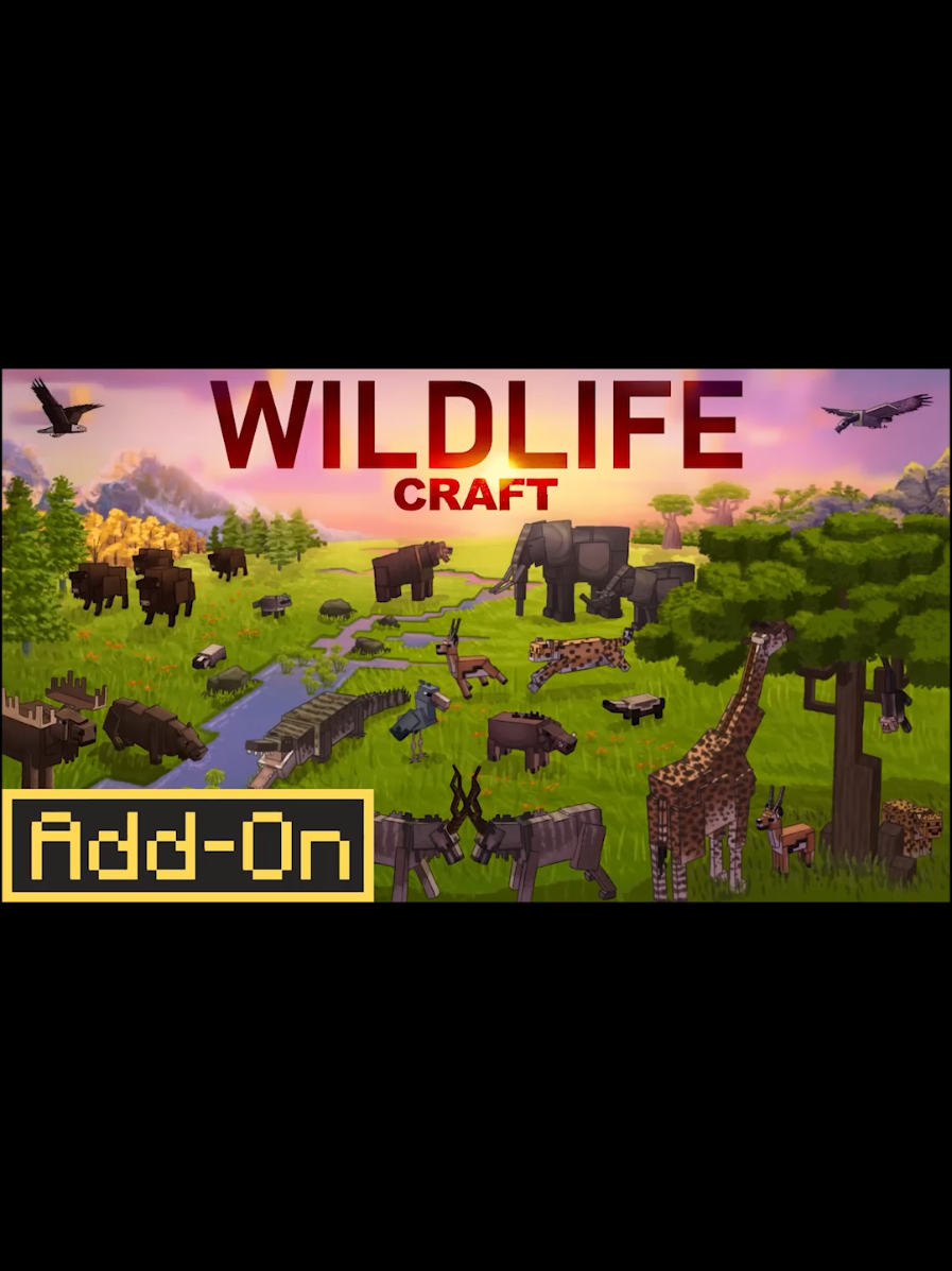 @CompyCraft