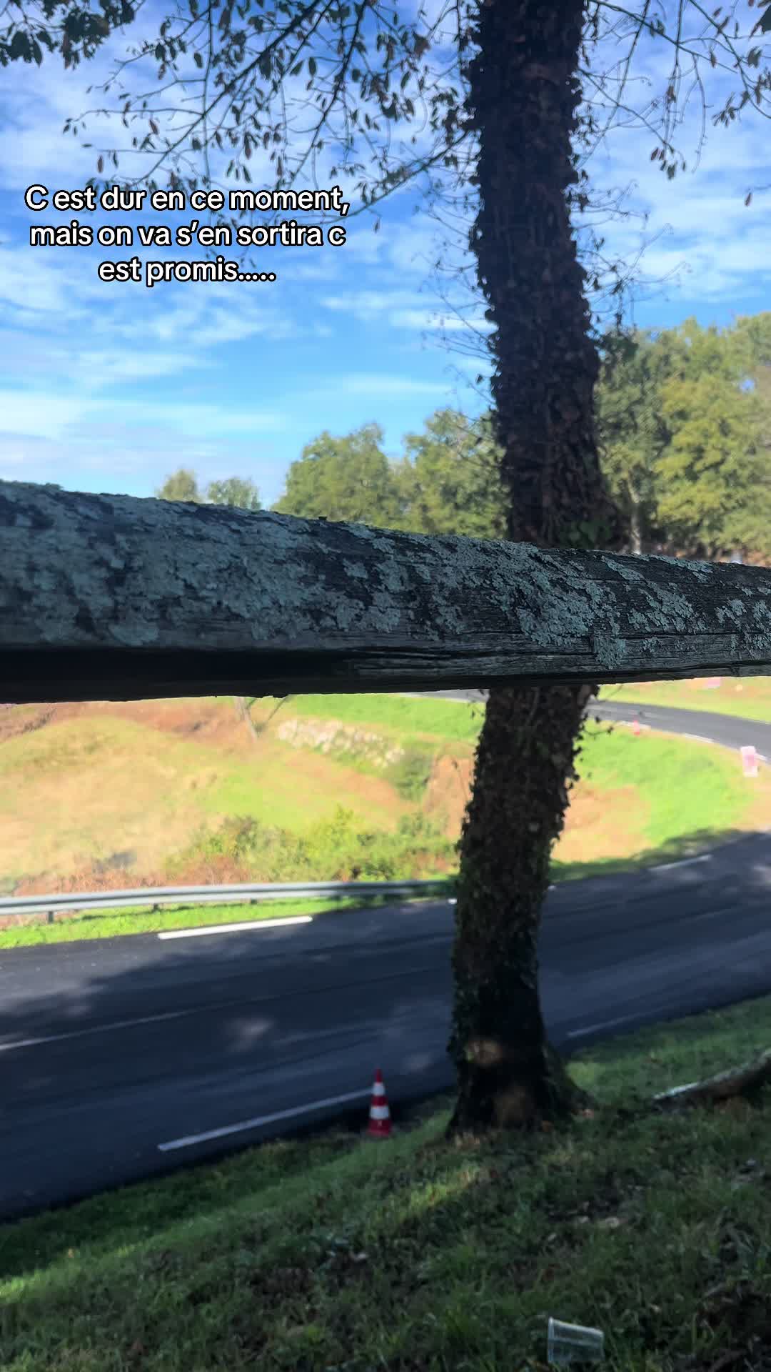 @En🎲🏕️🇪🇸🇮🇹