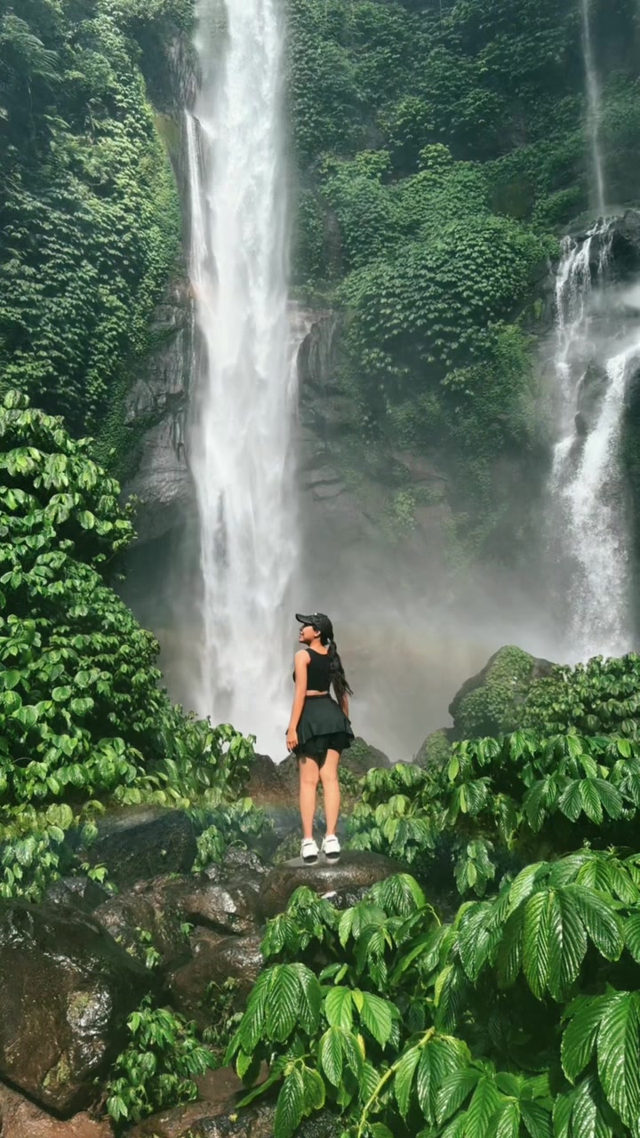 @imwidianii
