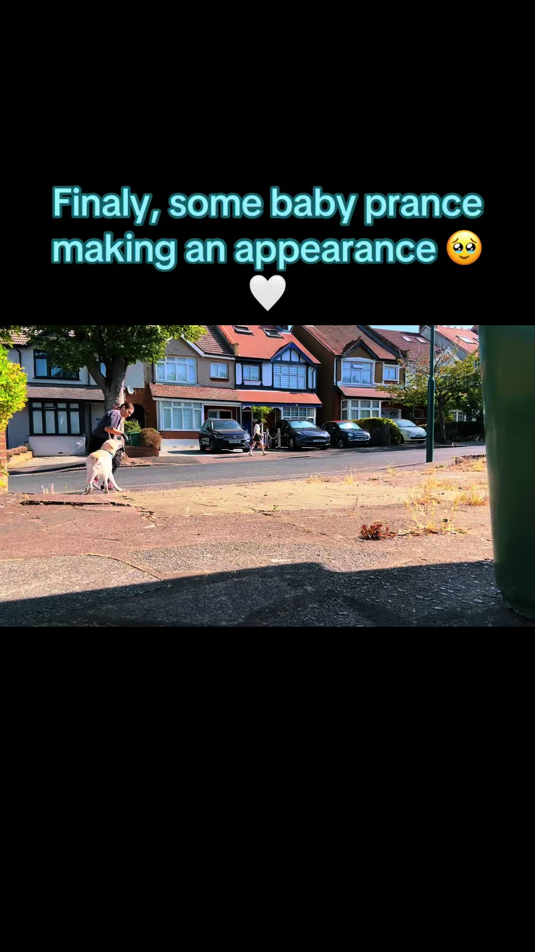 @Teddy 💕Charlie🐾💙
