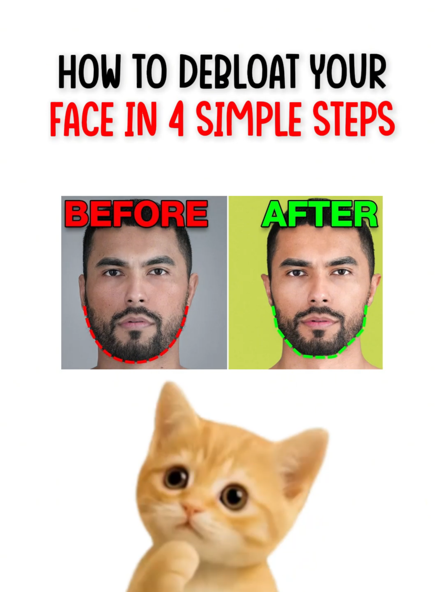 @mrkittyn