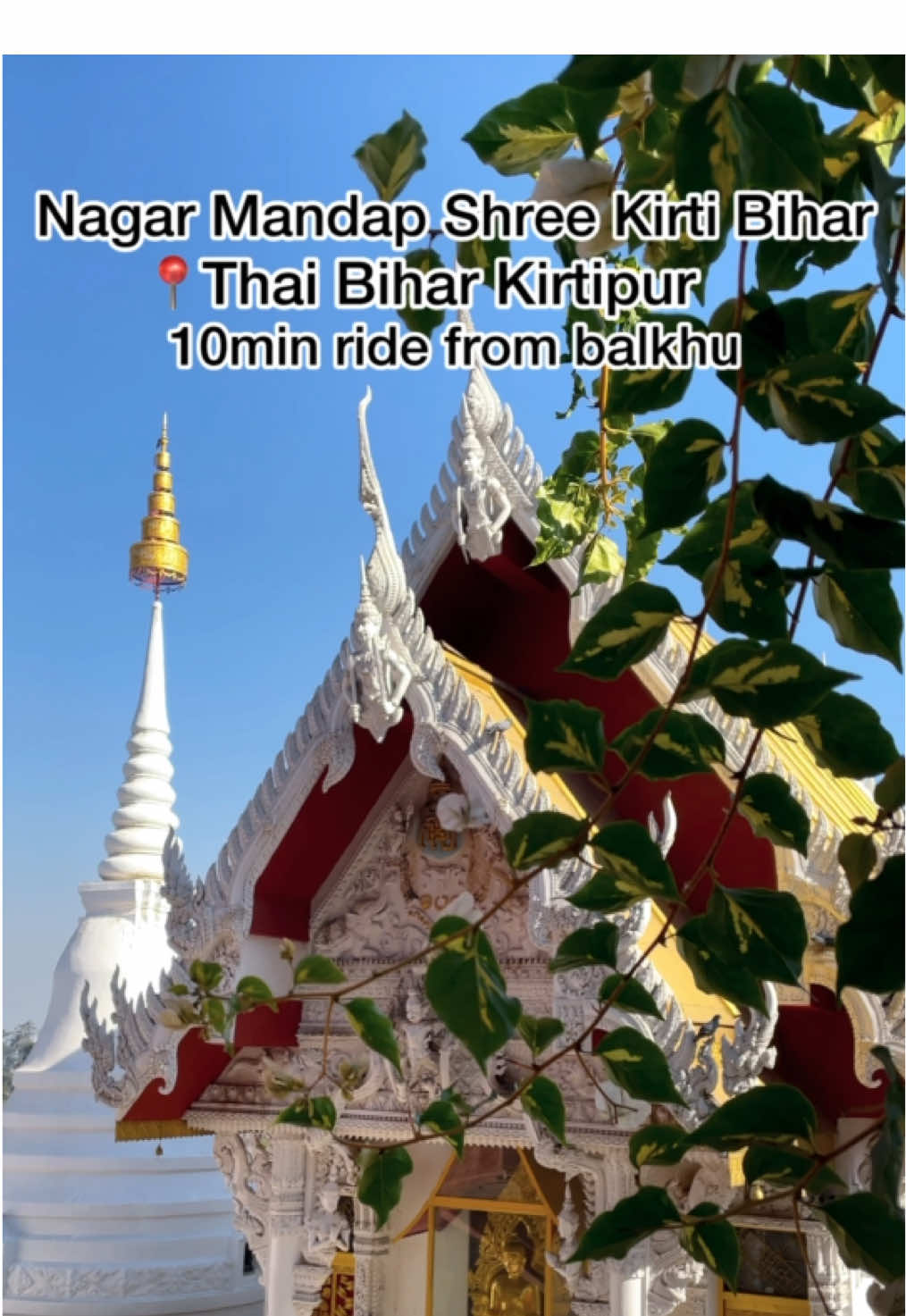 @nrtnabin