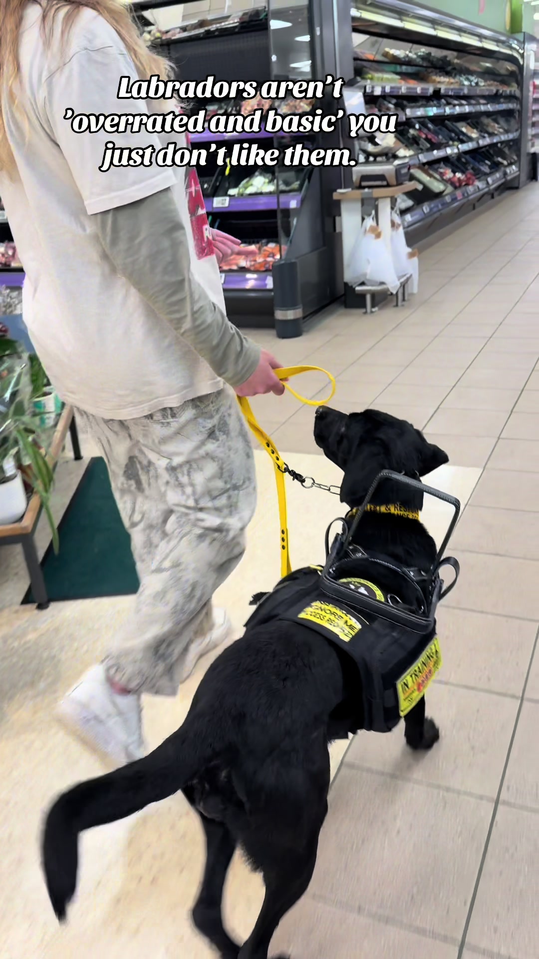 @themworkingdogs🏴