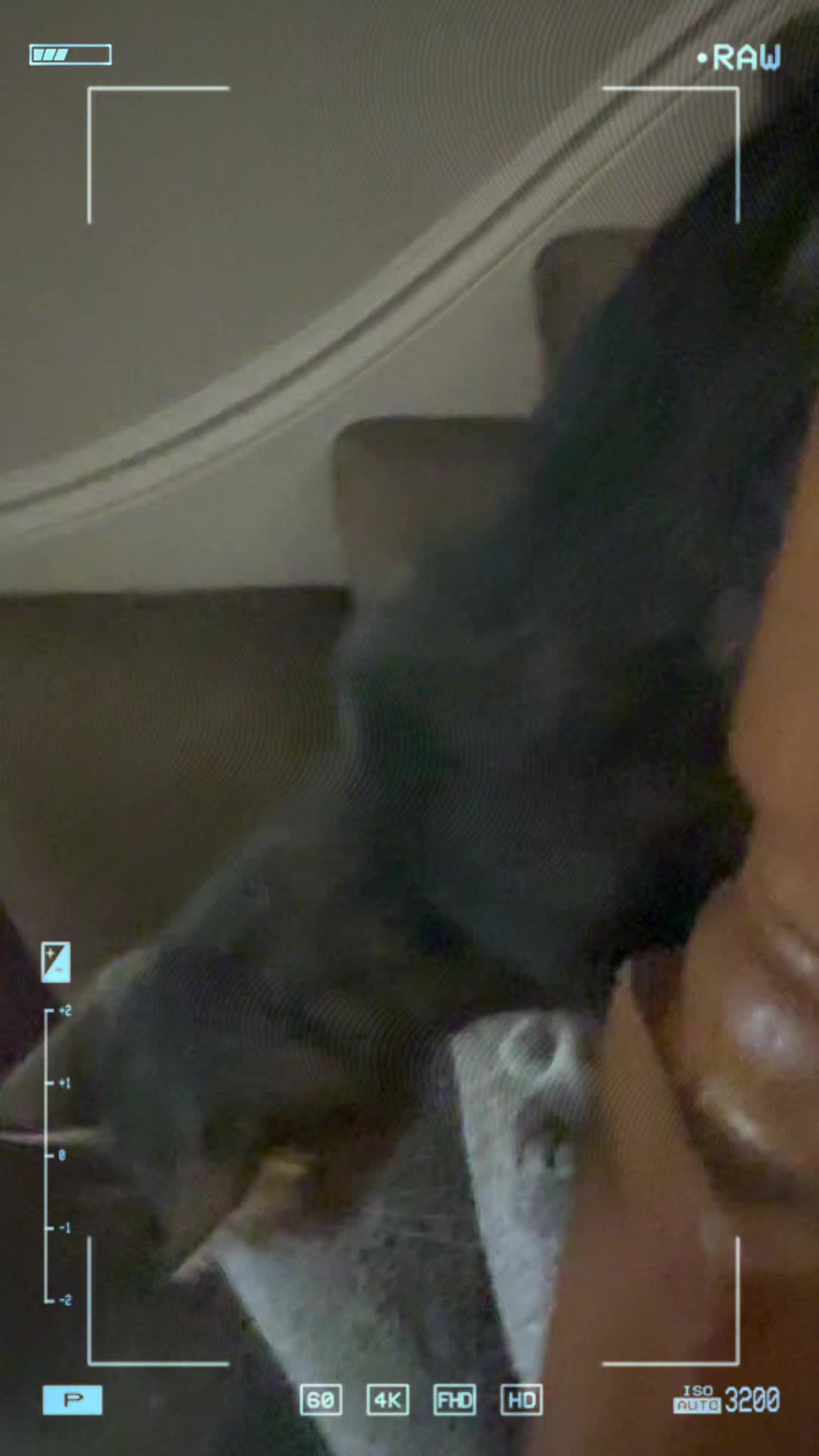 @natiya___🇺🇦🇬🇧