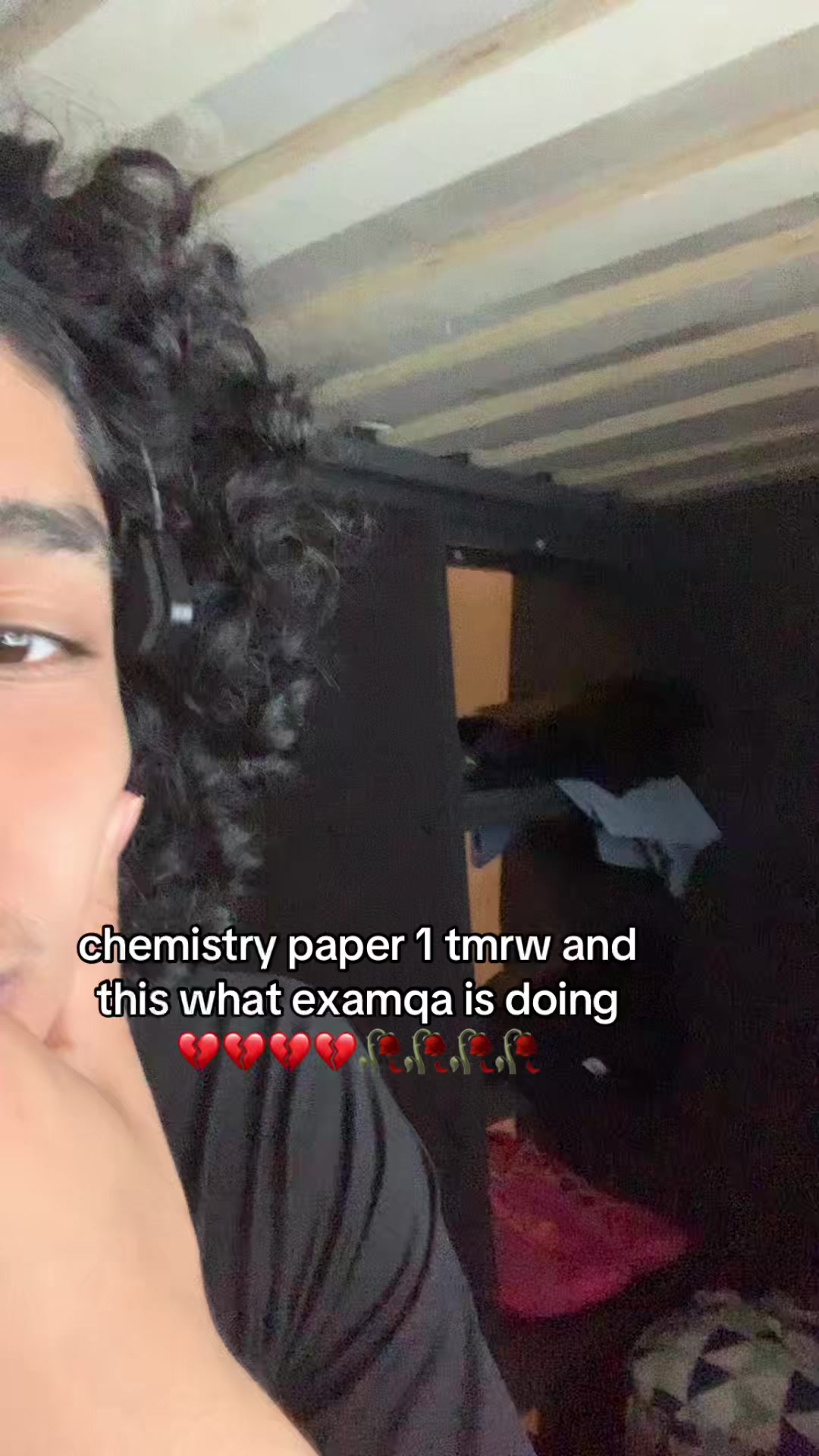 @🦈