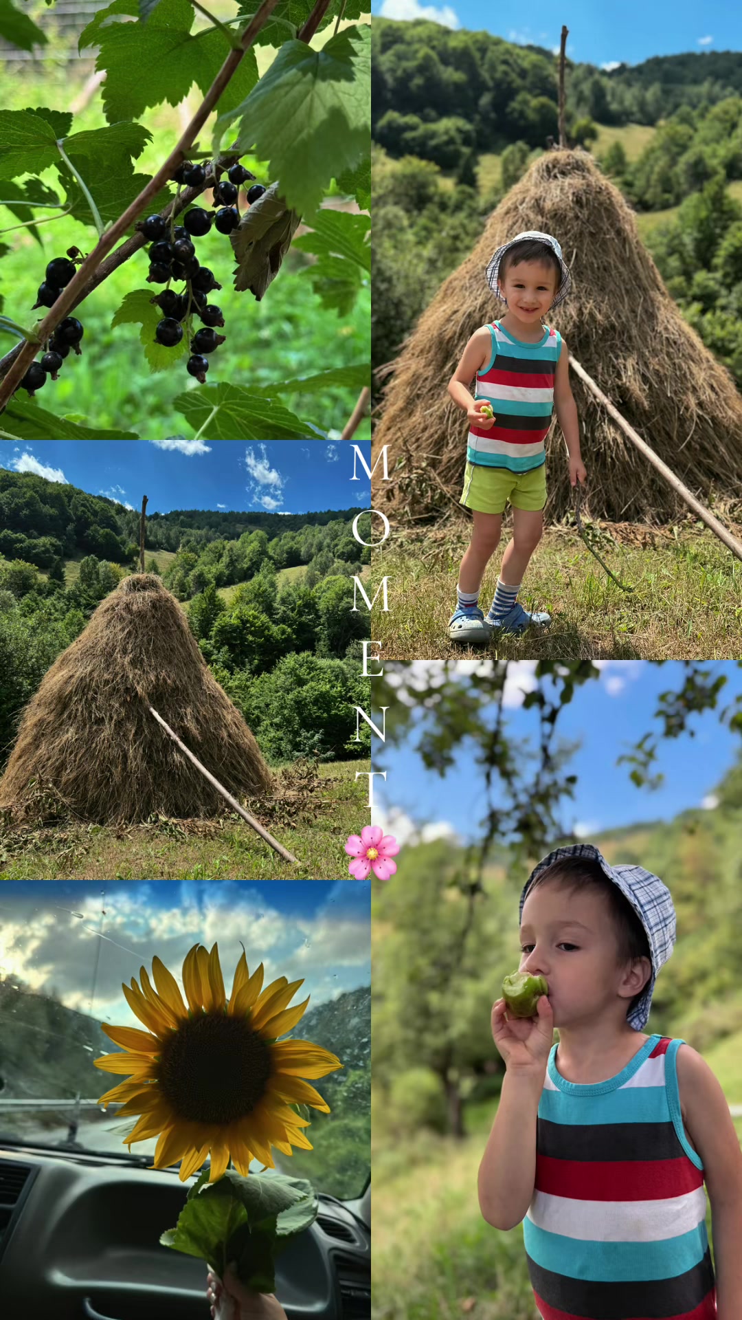 @𝗔𝗡𝗡𝗔✨️
