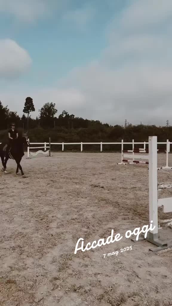 @Desy🐴