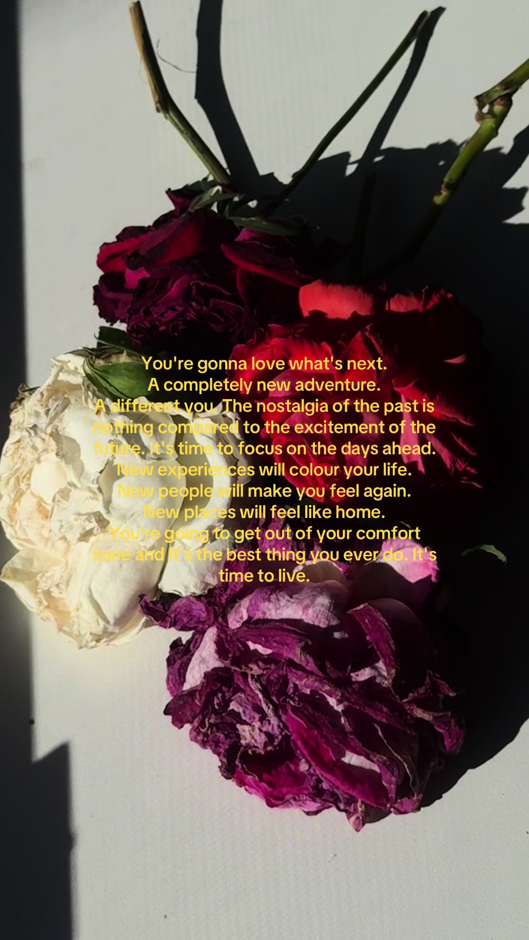 @elle quotes