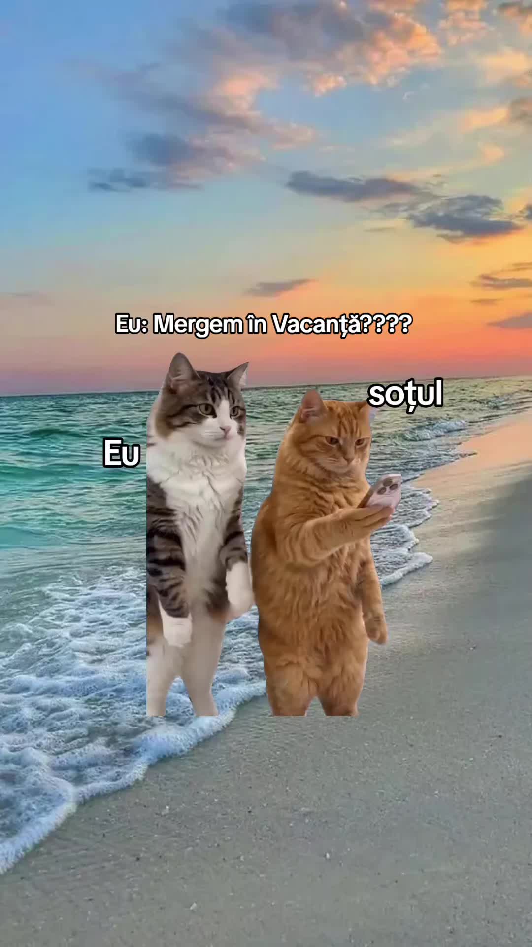 @Alina Mădălina