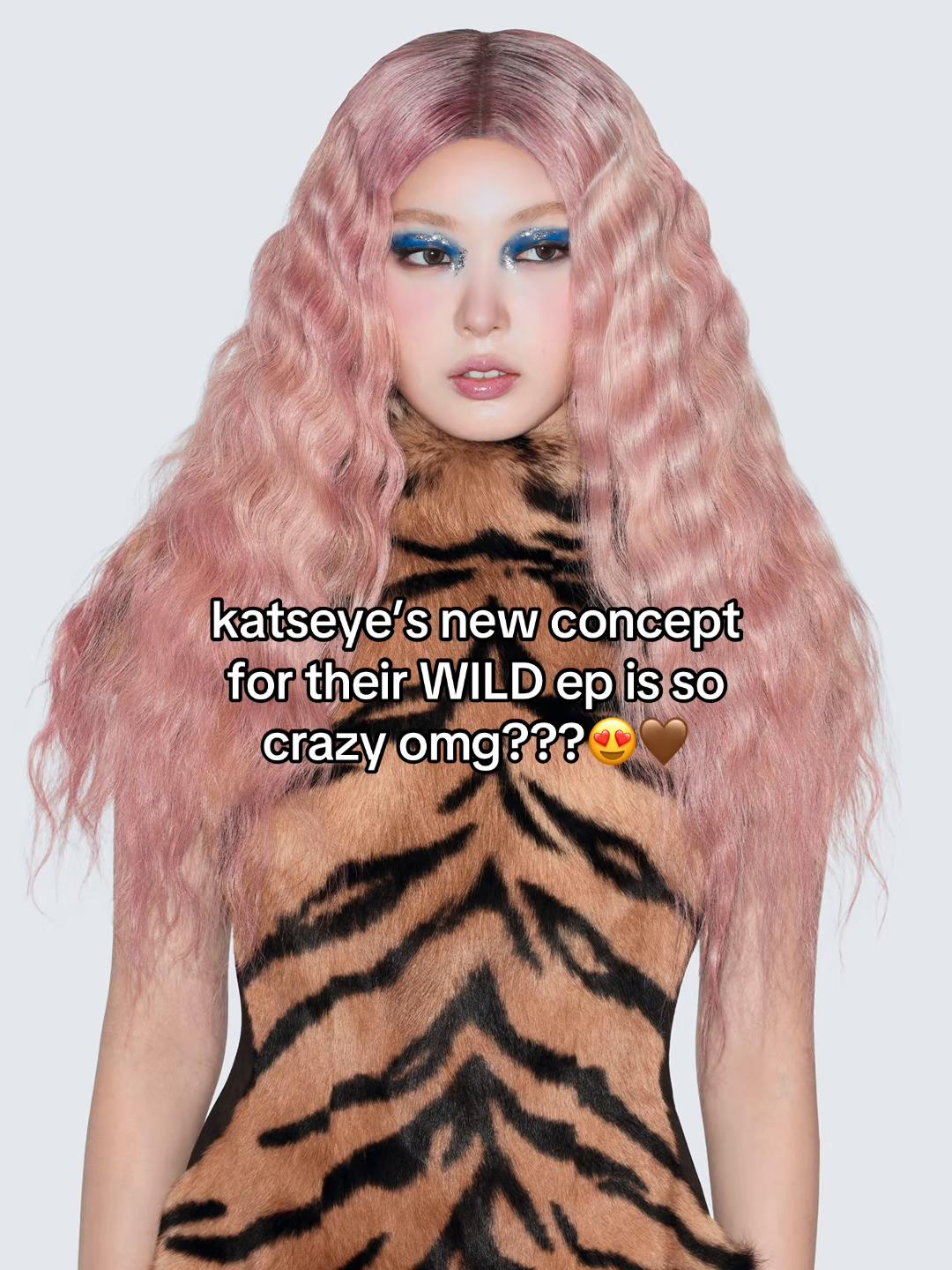 @katseye news💼