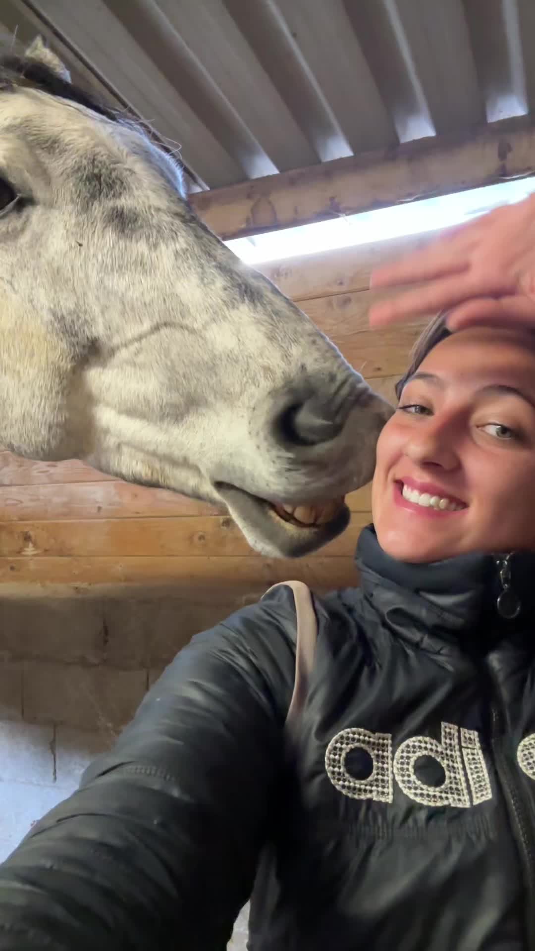 @Hannah&ensp;ost&eacute;opathie&ensp;animale&ensp;🐎