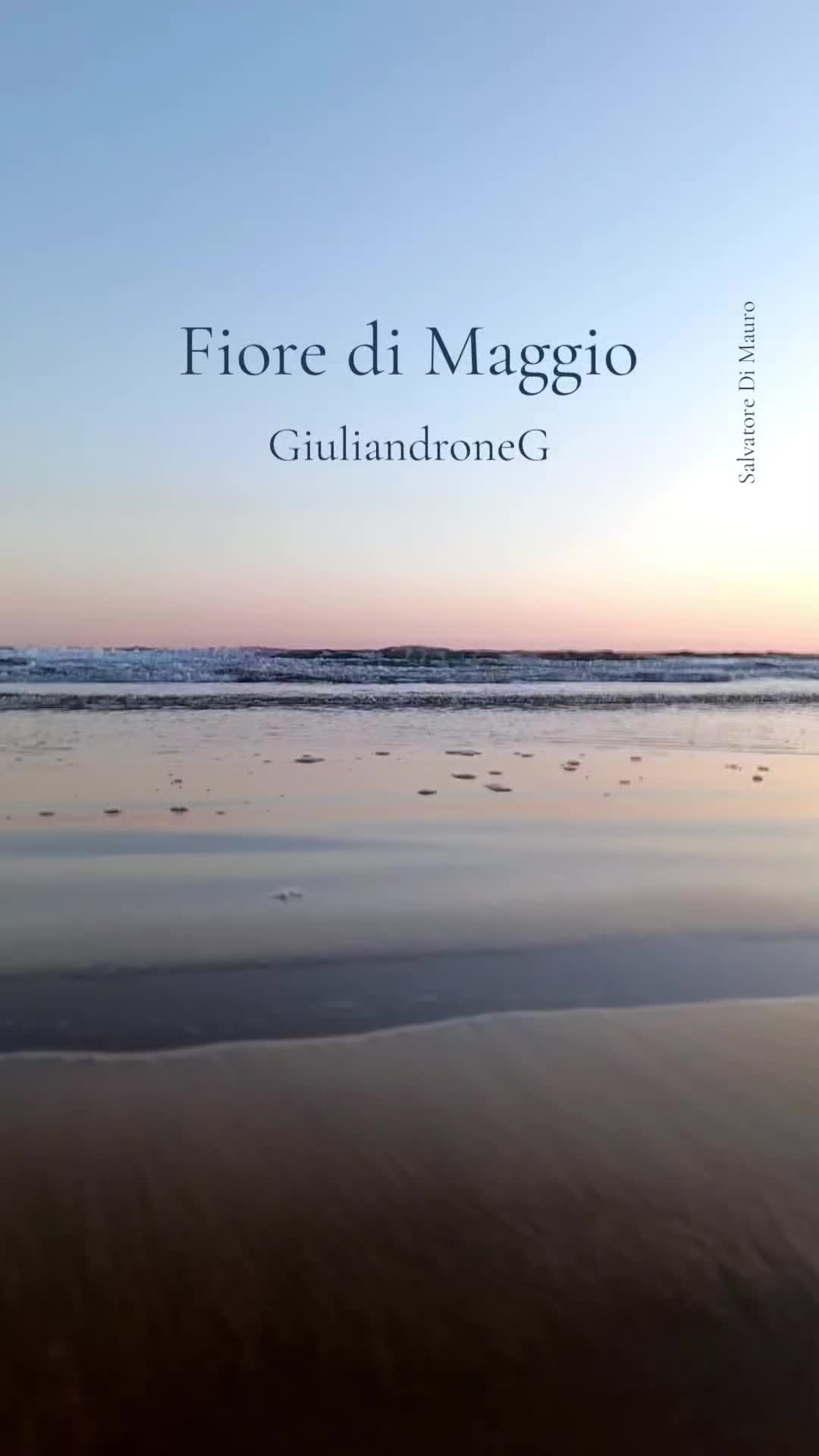 @Salvatore Di Mauro